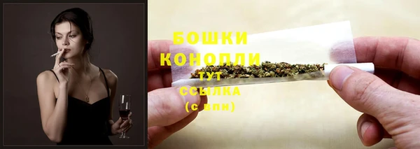 PSILOCYBIN Верея