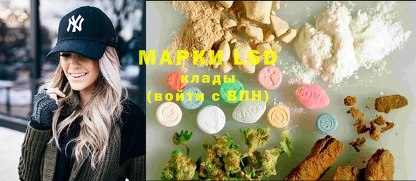 PSILOCYBIN Верея
