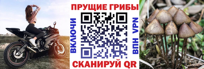 Галлюциногенные грибы мицелий  hydra зеркало  Энгельс 